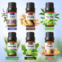 Huiles Essentielles Pures de Plantes SADOER : Arbre à Thé, Sakura, Ginseng, Gingembre, Menthe Poivrée, Citronnelle – Huiles Essentielles d'Aromathérapie