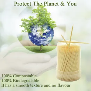 Chinese Factory Sale 65 Mm Bulk Bamboo Disposable Toothpicks