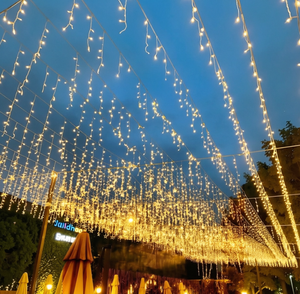 VonewStar Joyeux <span class=keywords><strong>Noël</strong></span> <span class=keywords><strong>Lumière</strong></span> LED IP67/65 Éclairage <span class=keywords><strong>extérieur</strong></span> pour les fêtes 220V Lumières <span class=keywords><strong>de</strong></span> <span class=keywords><strong>Noël</strong></span> pour Halloween Saint-Valentin Pâques - Product Image 2