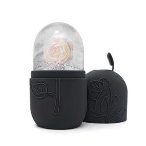 Rouleau de glace facial réutilisable en silicone |   Masseur facial froid écologique pour réduire les gonflements et apaiser les yeux/la peau |   Outil de beauté à domicile - Product Image 4