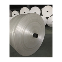 Harga kompetitif gulungan tenun PP 100% tas Polipropilena Virgin gulungan kain tenun PP Tubular kain warna-warni