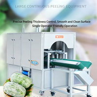 Éplucheuse industrielle horizontale automatique pour melon d'hiver et courge, machine à éplucher les légumes à grande échelle 3-4T/H
