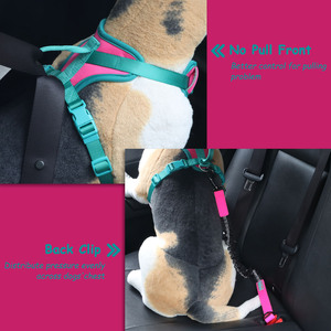 Fournitures pour animaux de compagnie élégantes sans tirer harnais pour chien en néoprène doux, Clip avant personnalisé, gilet réglable de styliste pour chien de compagnie, harnais collier laisse - Product Image 4