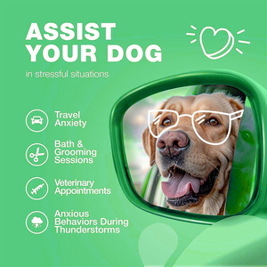 OEM canapa mastica morbida calmante per cani-sollievo dall'ansia melatonina valeriana radice camomilla vitamina <span class=keywords><strong>B</strong></span> complesso | Rapido assorbimento 3g - Product Image 3