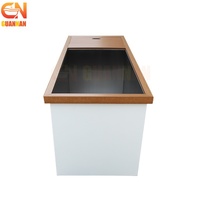 Baignoire rectangulaire à immersion froide avec refroidisseur, en acier inoxydable et bois, pour salle de sport à domicile et spa