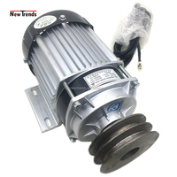 Unite BM1418ZXF 500W 36V 48V 60V Double poulie entraînement par courroie moteur à courant continu sans balais pour tondeuse Tricycle électrique moteur agricole