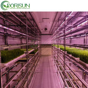 Contenedor de 40 Pies para Cultivo Inteligente de <span class=keywords><strong>Hongos</strong></span>, Contenedor Automático para Cultivo de <span class=keywords><strong>Hongos</strong></span>, Granja Comercial de <span class=keywords><strong>Hongos</strong></span>, Individual, PE - Product Image 5