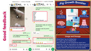 Promoteur <span class=keywords><strong>de</strong></span> mise bas pour chèvre, paquet <span class=keywords><strong>de</strong></span> 100 g, stimulateur <span class=keywords><strong>de</strong></span> mise bas pour animaux, stimulateur d'élevage pour truie, bovins, chèvres, moutons, plus <span class=keywords><strong>de</strong></span> bébés, additifs - Product Image 3