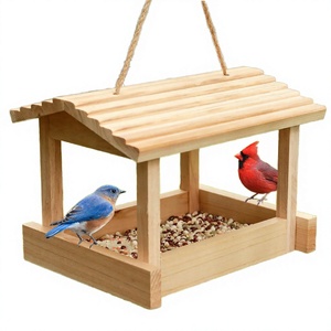 Ahuyentador de Aves Ecológico para Exteriores, con Púas, para Control de Aves como las Pinzones, Precio Económico - Product Image 4