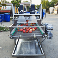 Concombre Raisin Fruits Légumes Aubergine Aubergine Bubble Washer Sèche-Équipement Verts Machine de nettoyage pour l'élimination des résidus