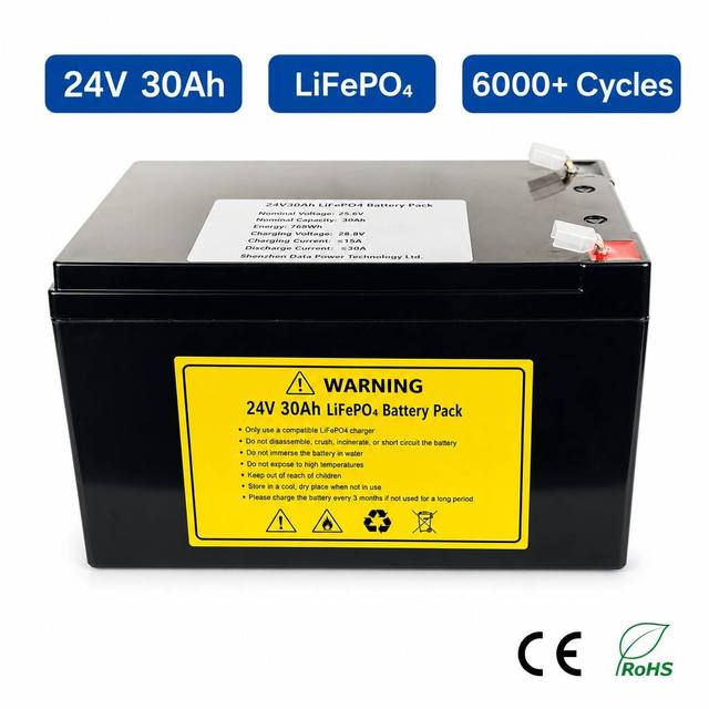 24V 30Ah Replacement Lithium Battery for Electric Wheelchair Floor Scrubber Small Cargo Tricycle Outdoor Water Pump