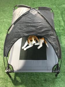 Lit pour chien surélevé avec auvent amovible surélevé chat chien lit tente intérieur extérieur lit Portable Camping plage voyage ombre - Product Image 3