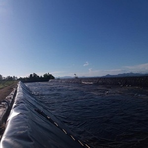2 mét HDPE màng đất Pond Liner cho thủy canh hồ bơi trang trại dam - Product Image 3