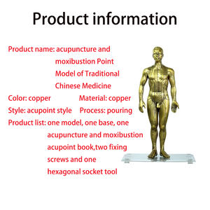 चिकित्सा विज्ञान शिक्षण डीलक्स कॉपर मानव एक्यूपंक्चर मॉडल स्कूल के लिए 50 सेमी - Product Image 2