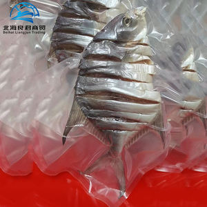 Prix de gros – <span class=keywords><strong>Poisson</strong></span> Pomfret Doré Séché Fait Main, Certifié HACCP, Traité par Congélation Lyophilisée, Provenant du Guangxi, Chine - Product Image 2