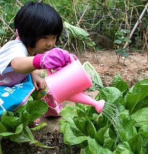 Kit d'outils <span class=keywords><strong>de</strong></span> jardinage personnalisable et léger en métal pour plantes succulentes, avec <span class=keywords><strong>manche</strong></span> en acier, pour enfants : <span class=keywords><strong>pelle</strong></span>, truelle, cultivateur – OEM - Product Image 4