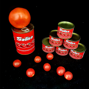 Pasta de Tomate Concentrada en Lata de Fábrica China, 22-24% Brix, 70g 2200g, Pasta de Tomate Enlatada 28-30% Brix para Cocina Halal Africana Musulmana - Product Image 4