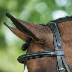 Bridon de dressage pour cheval de haute qualité, confortable, durable, en cuir, fabriqué en cuir indien, élégant équipement d'équitation anglais - Product Image 5