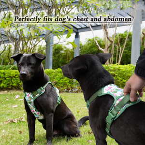 Conjunto de Collar, Correa y Arnés Ajustable para Perro, Diseño Lindo, Venta al por Mayor de Fábrica, Collar Resistente para Cachorros - Product Image 4