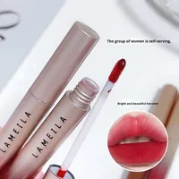 Vente en gros de rouge à lèvres liquide organique hydratant minéral 5g Velours imperméable Mat Brillant pour maquillage Brillant pour le pompage des lèvres