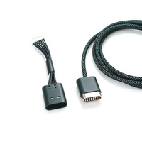 Cable de Extensión Magnético USB3.1 de PVC Personalizado, 10Gbps, 16 Pines, Terminal Macho, Extremo Abierto, con Longitud Personalizada