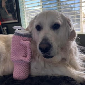 Plush Water Bottle Dog Toy Pink Durable Chew Squeaky Indoor <b>Pet</b> Toy - Product Image 2