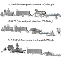 Machine de fabrication d'aliments pour poissons flottants entièrement automatique SLG 65 100-150 kg/h à Saiabinuo