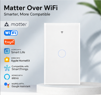 Interruptor de Luz Inteligente Moderno Matter, Estándar Estadounidense, Interruptor de Pared Táctil WiFi, Compatible con Apple Home, HomeKit, Alexa, Google, Tuya