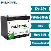 Polinovel 12v 24v 36v 48v 100ah 200ah 300ah 400ah lifepo4バッテリーパックソーラーストレージは充電式リチウムイオンバッテリーをアップロードします
