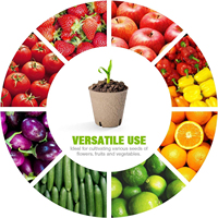 Pots de semis biodégradables en pulpe de bois à paroi simple, compostables, pour fruits et légumes, écologiques, pour pépinières (vente en gros)