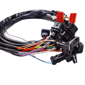 Nhà Máy Tùy Chỉnh Ô Tô Bơm Nhiên Liệu Phun Kết Nối Dây Nịt Động Cơ Phun Dây Nịt Dây Điện Tùy Chỉnh Dây Nịt Dây Điện - Product Image 2