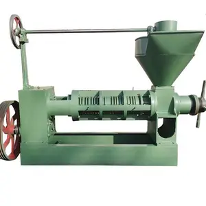 China hazelnut coconut oil press oil extraction machine cold press automatic