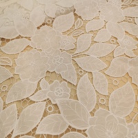 Le dernier tissu spécifique de créateur de broderie en mousseline de soie coupé à la main pour robes robes de mariée tissus de dentelle Voile suisse