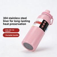 Thermos à double paroi en acier inoxydable 304, 750 ml, grande capacité, camping, sports de plein air, pot portable