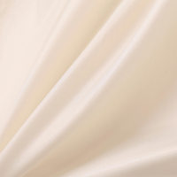 Manteau Tendance en Fausse Fourrure Shaggy pour Femme, Veste Chaude et Épaisse en Peluche pour l'Hiver, Col Élégant, Longue Fourrure Moelleuse, 100% Polyester, Vêtement d'Extérieur