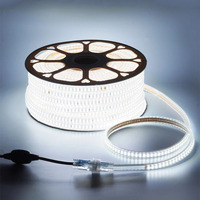 Bande lumineuse LED SMD2835 étanche IP67 110V/220V 10mm 180 LED 3000K/4000K/6500K en PVC découpé à l'emporte-pièce avec alimentation USB