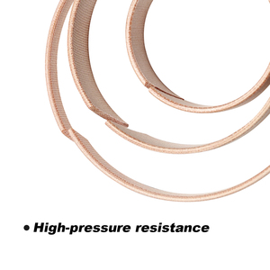 Hướng dẫn Dải-DST Thủy Lực Piston hướng dẫn Dải PTFE + pa6-40 ℃ ~ 160 ℃ chống mài mòn chống xước chính xác hướng dẫn - Product Image 5