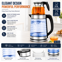 Bouilloire électrique 2,2 L, théière en verre 0,3 L, motif vague, théière turque avec infuseur, filtre en acier inoxydable, prise EU