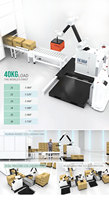 Bras robotisé, machine à paletter personnalisée, manipulateur palettiseur, essentiel pour les lignes d'assemblage automatisées de produits en carton