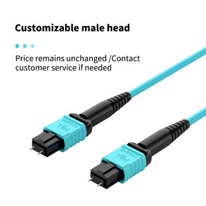 Câble à fibres optiques tressées de 40 mètres, 12 cœurs, adoptant une <span class=keywords><strong>fibre</strong></span> multimode OM3-300 de qualité supérieure - Product Image 1