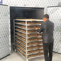 Hetelucht-droogmachine voor noten, zoals cashewnoten, walnoten en macadamianoten.