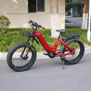 Step Thru Ebike 1000W 48V 30Ah Batterie Vélo Électrique 14 Vitesses <span class=keywords><strong>ROHLOFF</strong></span> IGH Hub 55 KM/H Belt Drive E Bike pour Adultes - Product Image 3