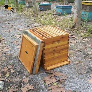 Sáp Bìa Nhúng Mật Ong Bee Hive Set Box Đa-Ngọt Ngào Sáp Tráng langstroth Bee Hive Kit Với Khung