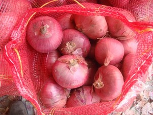 Trung Quốc mới màu vàng tươi hành tây đỏ với túi lưới màu tím Xuất xứ Trắng hành tây tỏi Nhà cung cấp Trung Quốc không bóc vỏ Hữu Cơ hành tây giá - Product Image 5