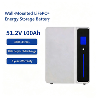 Système de stockage d'énergie domestique mural CAN, batterie au lithium LiFePO4 100Ah intelligente avancée pour usage domestique et solaire