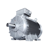 Motor Listrik AC Tiga Fasa Asinkron Efisiensi Tinggi Industri 380V 50Hz IE3 Efisiensi 315kW Proteksi IP55
