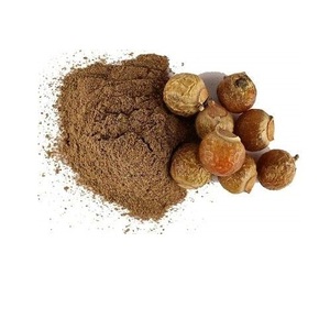 Polvo de Aritha de Alta Calidad, Grado Alimenticio Premium, Extracto Herbal, Textura Fina, para Empaque de Exportación a Granel - Product Image 3