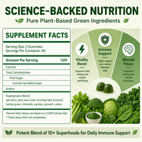 SYC BIO Super Greens Gummies Naturels Mélange de Légumes Verts Quotidien Favorise la Digestion Formule de Soutien au Bien-être 120 Comprimés Sac de 600g Usine