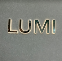 Lettres de signalisation en métal rétroéclairées par LED personnalisées, signalisation de magasin imperméable, signalisation de logo découpée au laser 3D pour la décoration de la salle d'entreprise, de l'adresse ou du bar