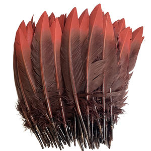 Rouge foncé flèche coupe <span class=keywords><strong>plume</strong></span> de dinde <span class=keywords><strong>plume</strong></span> pour artisanat bricolage coiffure chapeau Costume Cosplay accessoire carnaval fête mariage Floral déco - Product Image 1